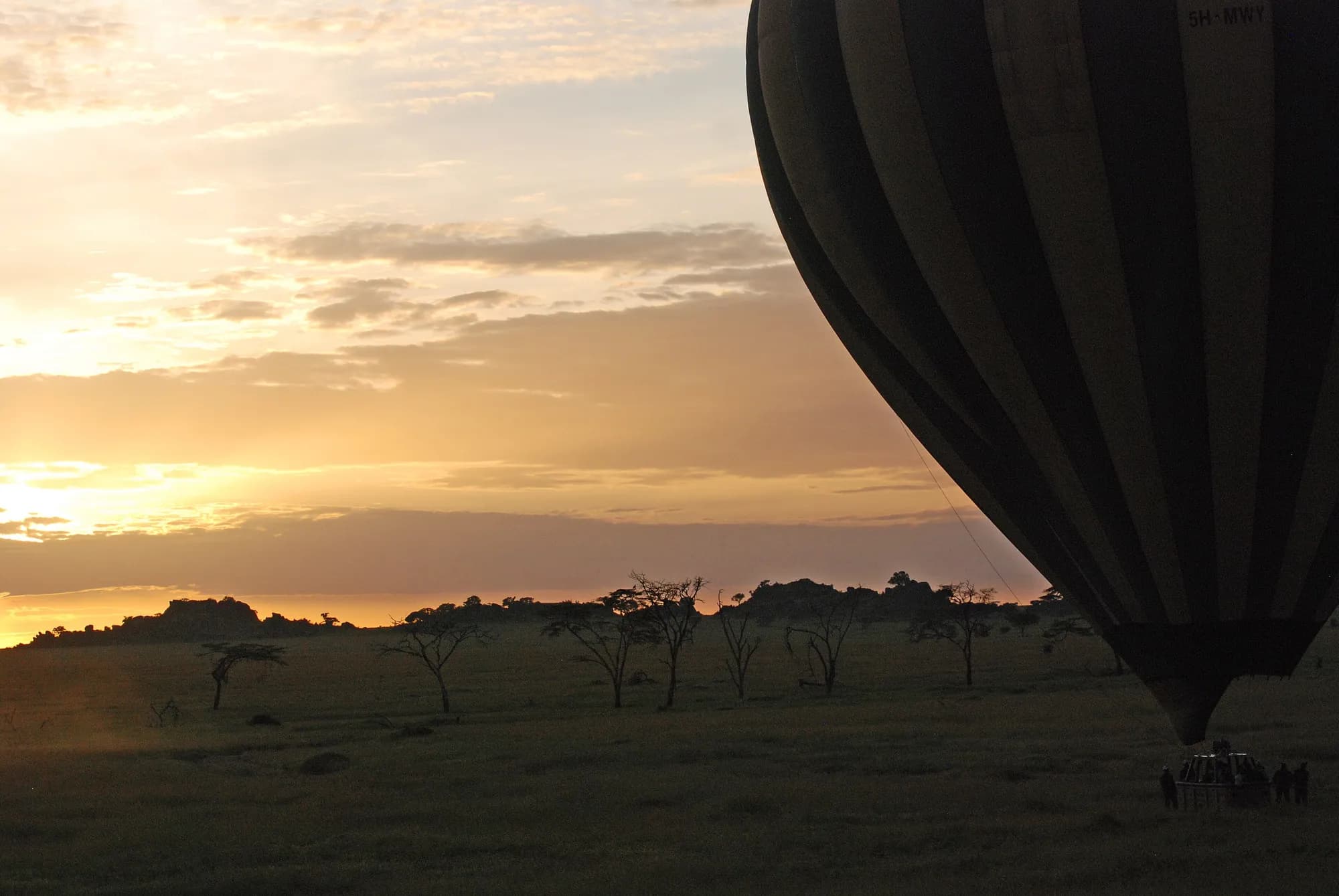Balloon safari at first light